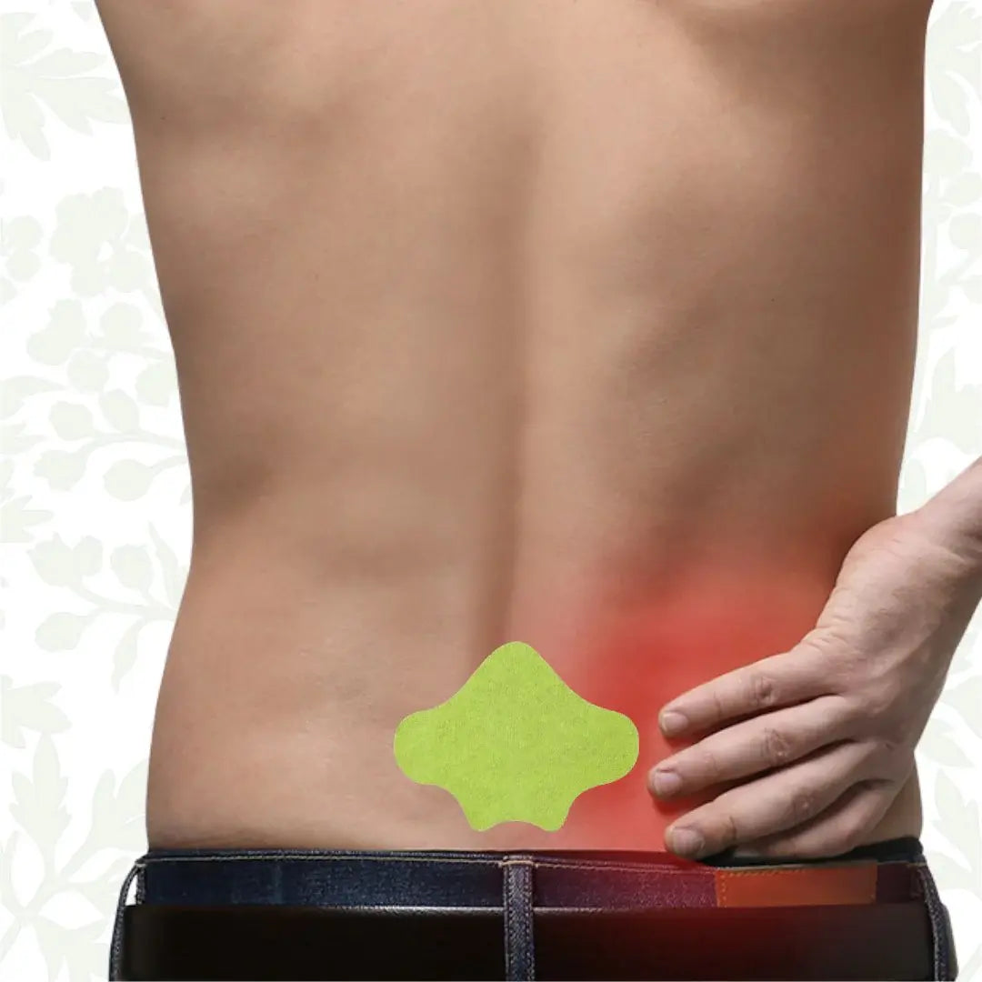 Wellnee - Natural Back Pain Patches