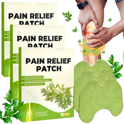 Wellnee - Natural Back Pain Patches